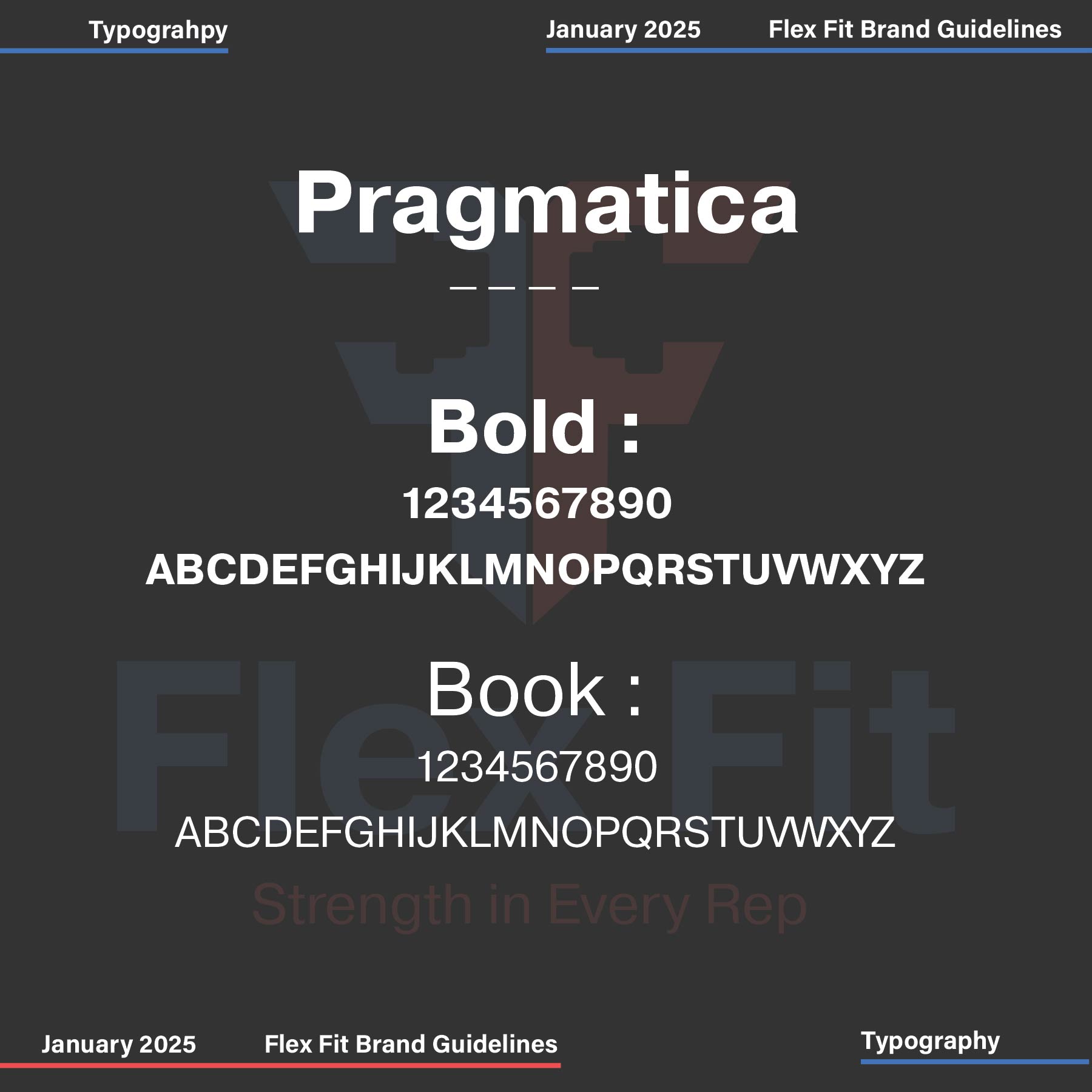 Project Image 4